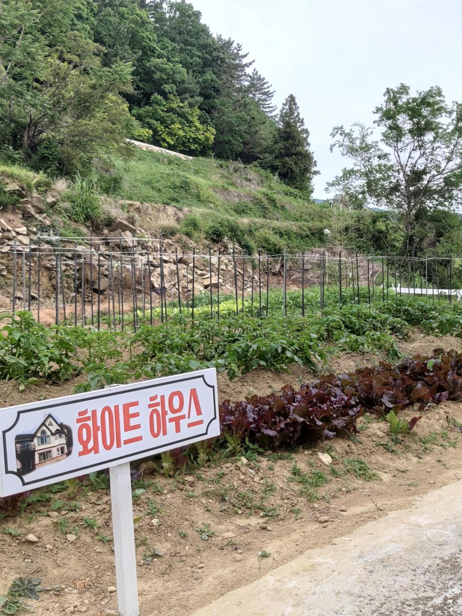 White House Otel Namhae Dış mekan fotoğraf