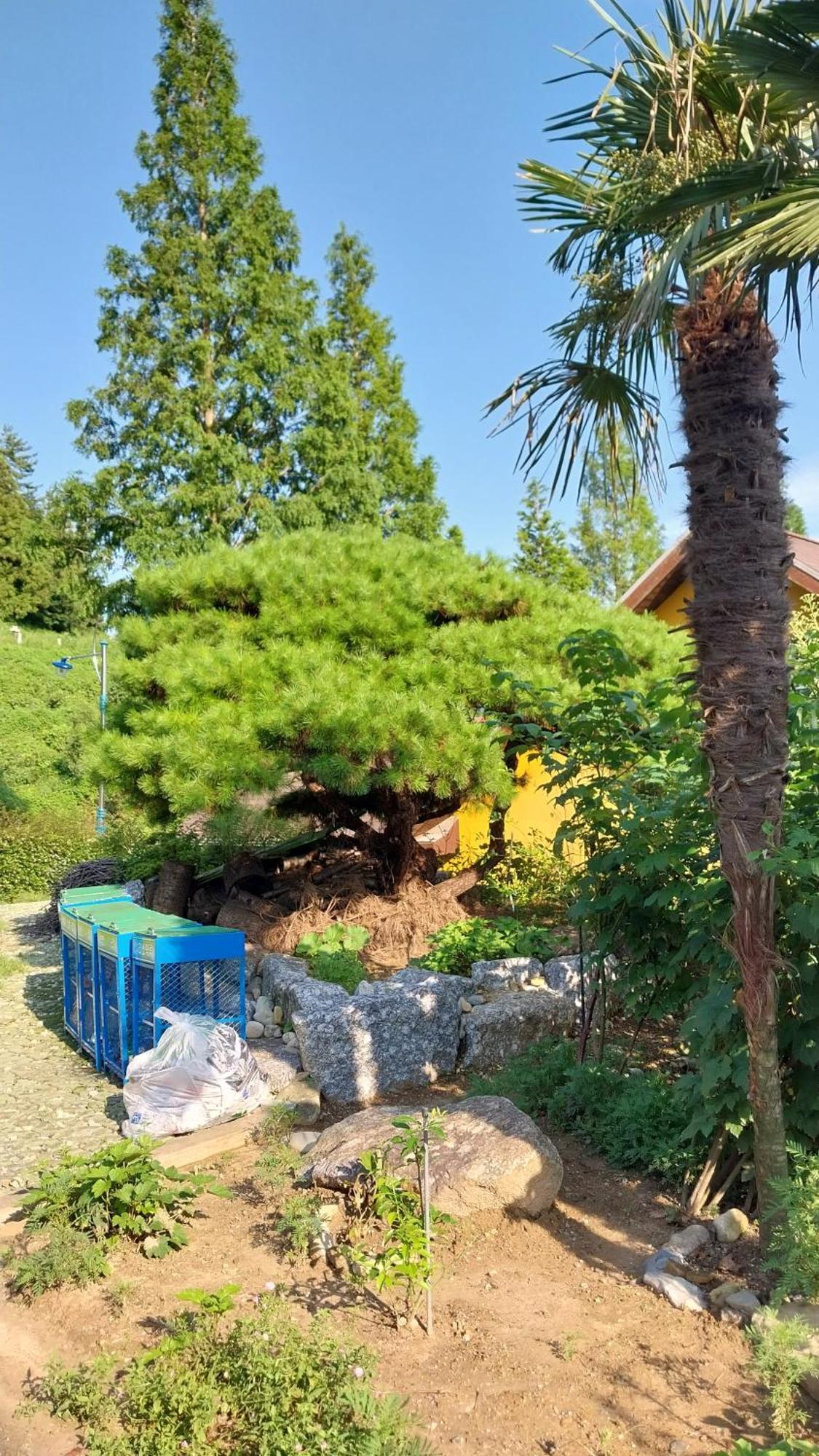 White House Otel Namhae Dış mekan fotoğraf